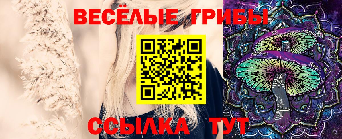 Карталы  Галлюциногенные грибы Psilocybe  Вход с VPN 