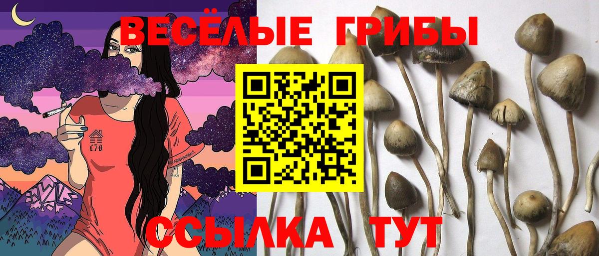 Псилоцибиновые грибы ЛСД Карталы